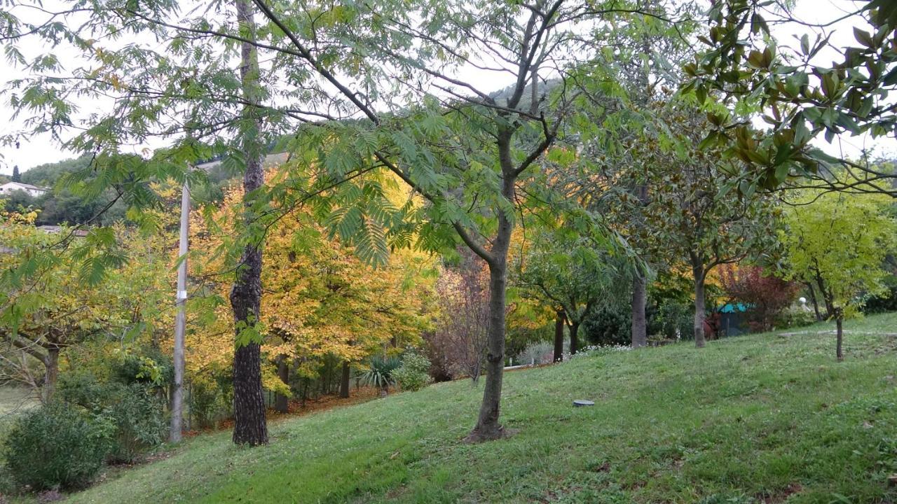 B&B La Poiana Canavaccio di Urbino ภายนอก รูปภาพ
